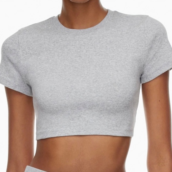 Aritzia | TNA | Grey Cropped Tee | Medium - Picture 1 of 6